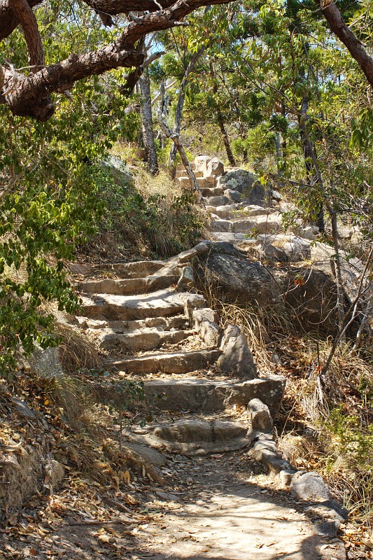 2009-11-06 22-02-37_2.jpg - Die Tour mußte ich alleine machen, hier kommt kein Kinderwagen hoch...
